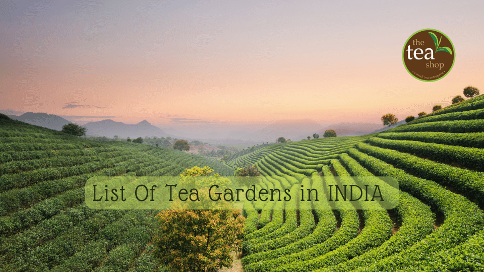 list of tea gardens in India