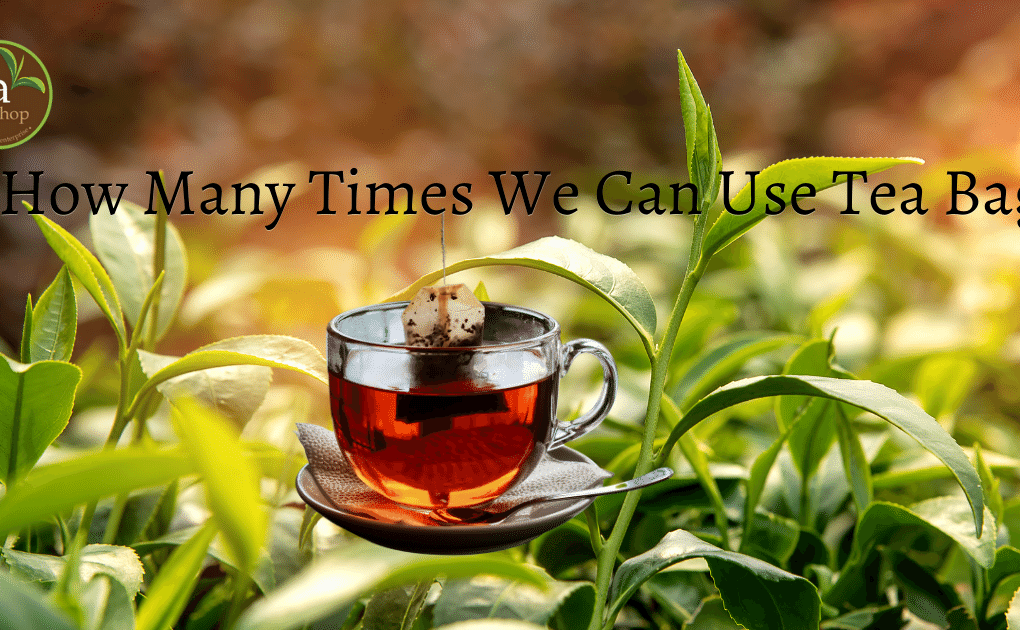 The Teashop - How Many Times We Can Use Tea Bag