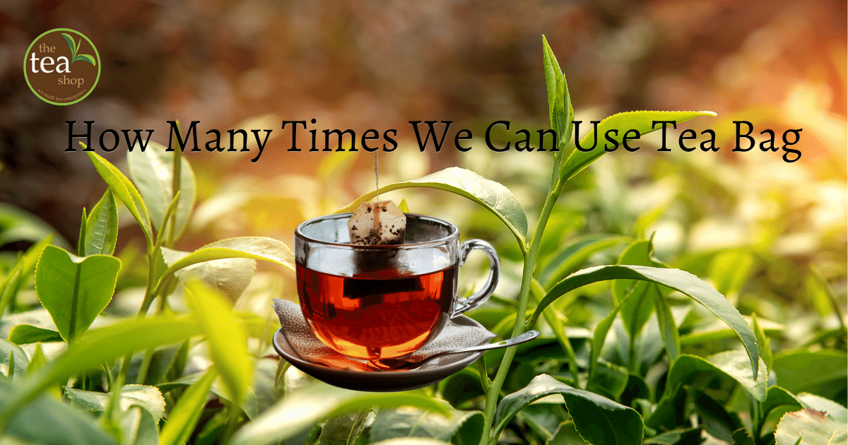 The Teashop - How Many Times We Can Use Tea Bag