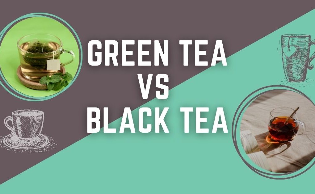 green tea vs black tea