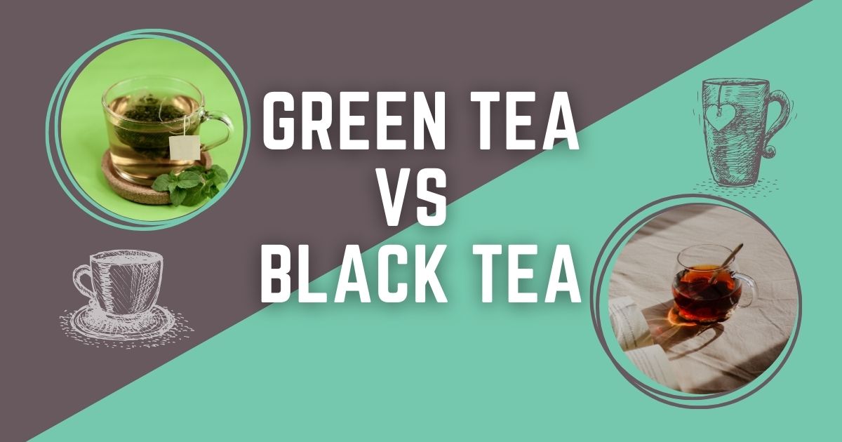green tea vs black tea