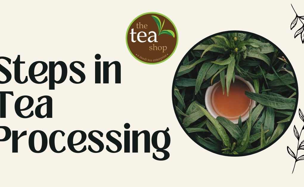 steps in tea processing image