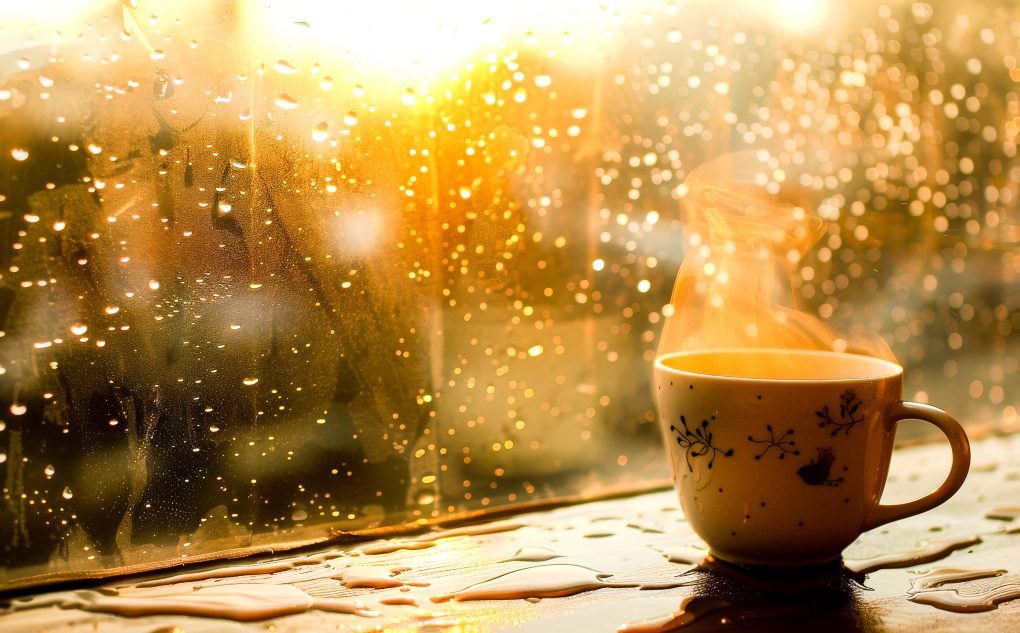 Tea Powders to Warm Up Your Rainy Days